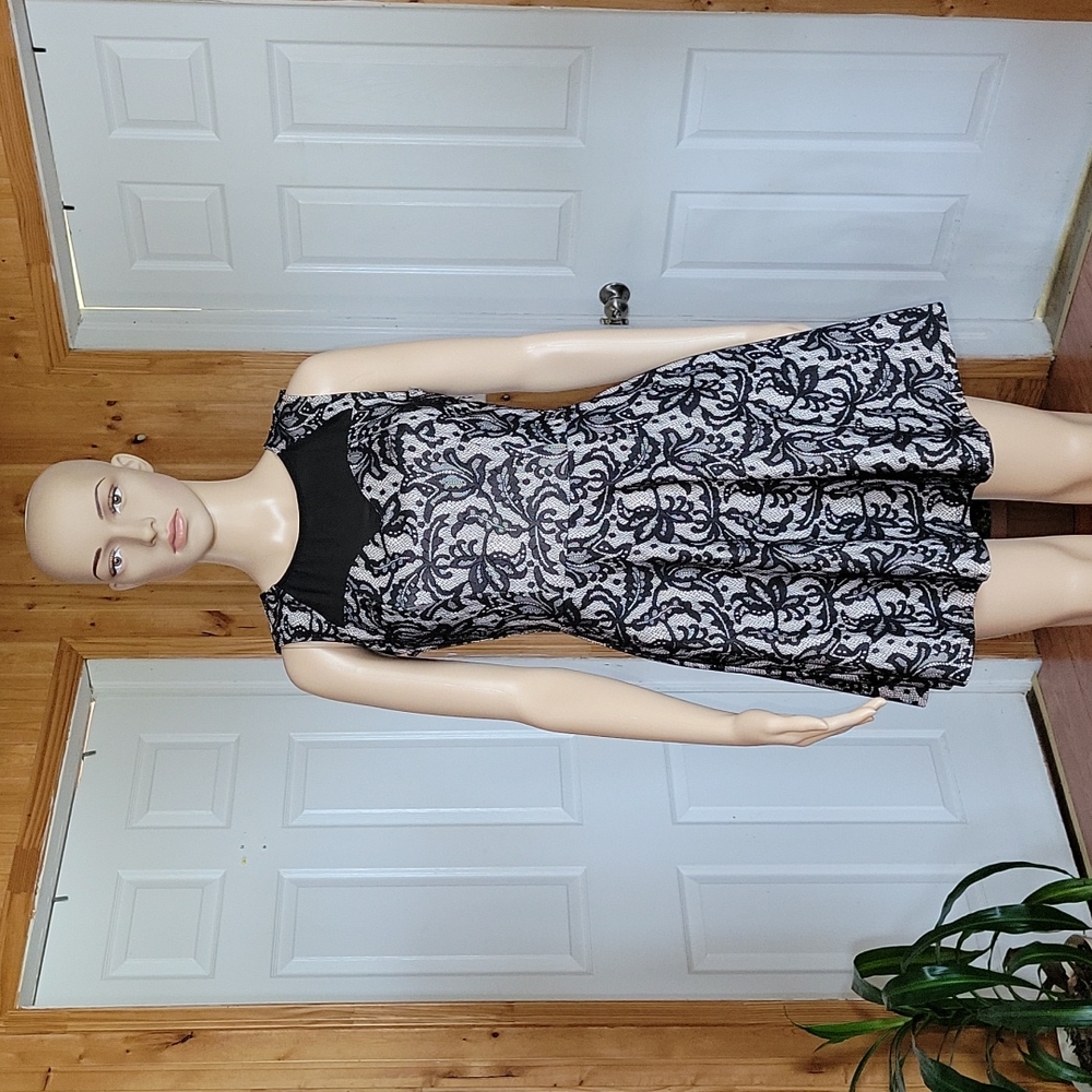 Want And Need Black Lace/Nude Mini Dress